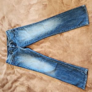 GAP Real Straight jeans size 4/27" EUC